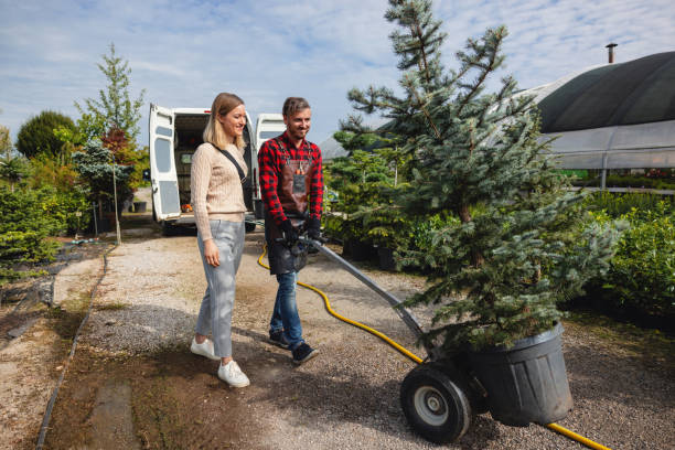 Best Hazardous Tree Removal  in USA